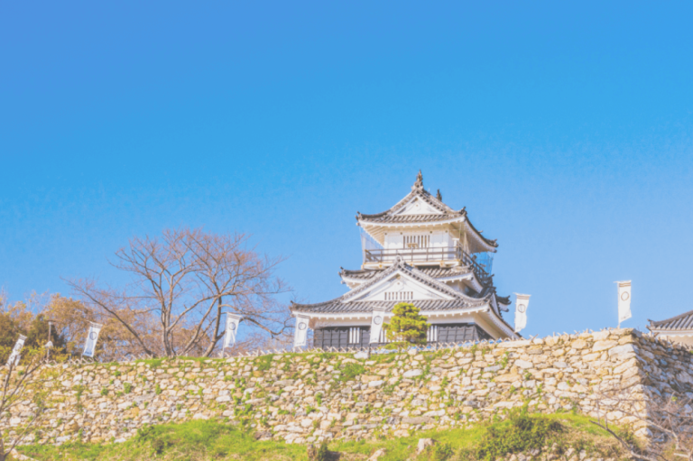 静岡浜松店